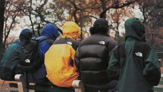 Gruppo di persone di spalle con abbigliamento outdoor The North Face vintage, tra cui piumino nero, giacche a vento impermeabili gialle, verdi e blu con cappuccio alzato e zaino nero con logo.